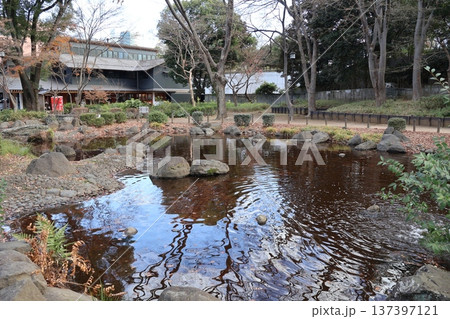 増上寺弁天池(東京都港区芝公園) 増上寺弁天池(東京都港区芝公園) 137397121