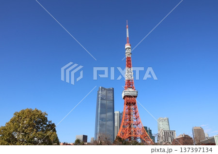 東京タワーと麻布台ヒルズ 東京タワーと麻布台ヒルズ 137397134