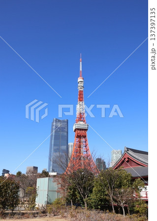 東京タワーと麻布台ヒルズ 東京タワーと麻布台ヒルズ 137397135