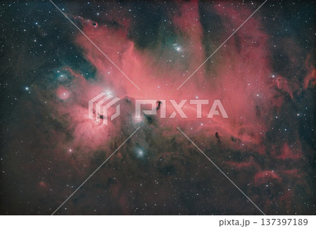 馬頭星雲_2025.12 137397189