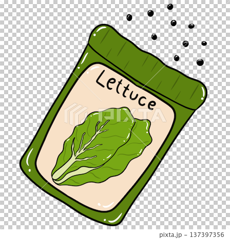 Lettuce Seeds Packet Cartoon Illustration Lettuce Seeds Packet Cartoon Illustration 137397356