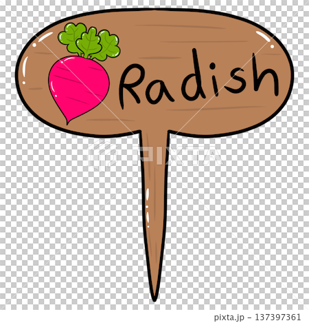 Radish Wooden Garden Plant Marker Cartoon Illustration 137397361