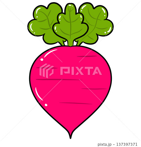 Radish Vegetable Cartoon Vector Illustration Radish Vegetable Cartoon Vector Illustration 137397371