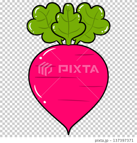 Radish Vegetable Cartoon Vector Illustration 137397371