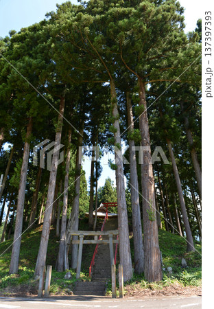 神社の周辺（秋）0神社の周辺（秋）09 137397393