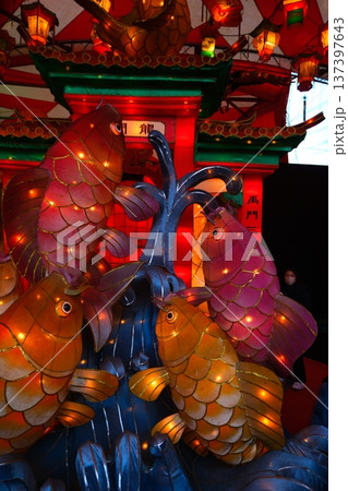 長崎ランタン祭り 長崎ランタン祭り 137397643