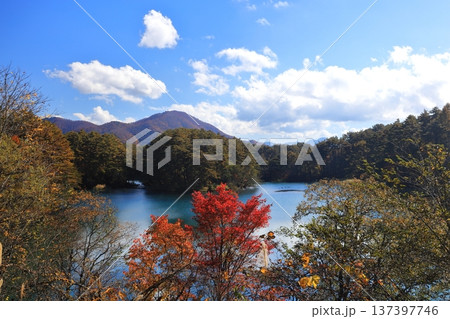 裏磐梯五色沼　紅葉　毘沙門沼 137397746