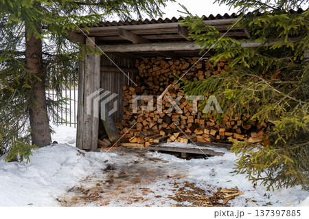 Rustic outdoor woodshed carefully arranged with winter supplies beneath snowcovered evergreens 137397885