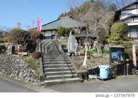 東京都青梅市の梅林山天澤院 137397979