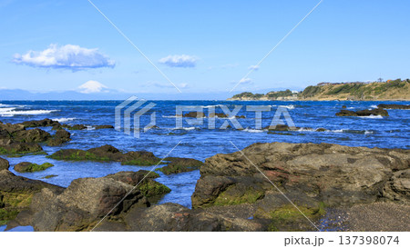 三浦半島の和田長浜の春 137398074