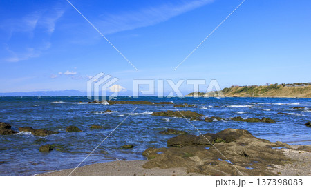 三浦半島の和田長浜の春 三浦半島の和田長浜の春 137398083