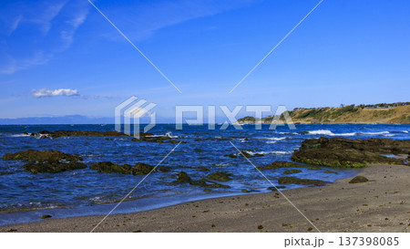 三浦半島の和田長浜の春 137398085