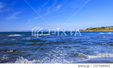 三浦半島の和田長浜の春 三浦半島の和田長浜の春 137398092