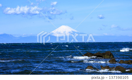 三浦半島の和田長浜の春 三浦半島の和田長浜の春 137398105