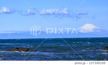 三浦半島の和田長浜の春 三浦半島の和田長浜の春 137398108