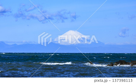 三浦半島の和田長浜の春 三浦半島の和田長浜の春 137398113