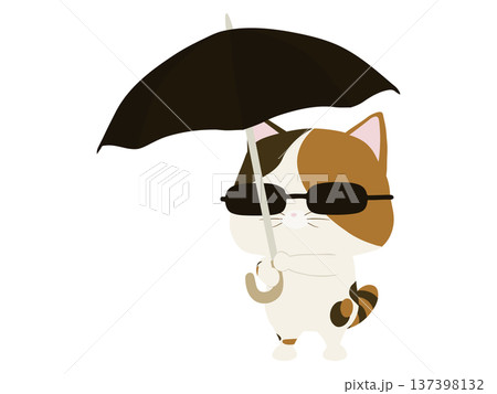 日傘をさす三毛猫 137398132