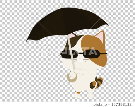 日傘をさす三毛猫 137398132