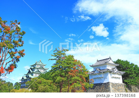 愛知県名古屋市、名古屋城の風景 愛知県名古屋市、名古屋城の風景 137398168