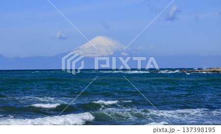 三浦半島の和田長浜の春 三浦半島の和田長浜の春 137398195