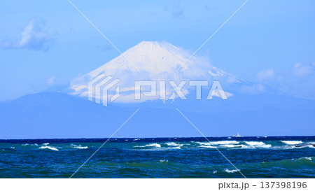 三浦半島の和田長浜の春 三浦半島の和田長浜の春 137398196