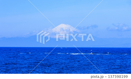 三浦半島の和田長浜の春 三浦半島の和田長浜の春 137398199