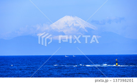 三浦半島の和田長浜の春 137398201