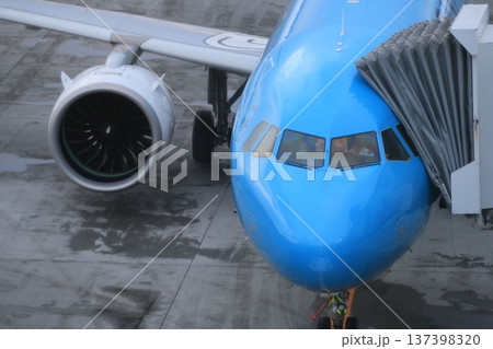 飛行機 137398320