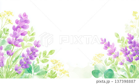 優しいタッチのラベンダーのフレーム 137398887