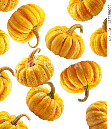 Set of vibrant orange decorative pumpkins with textured skin and water droplets on white background, concept of autumn harvest Set of vibrant orange decorative pumpkins with textured skin and water droplets on white background, concept of autumn harvest 137399002