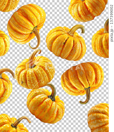 Set of vibrant orange decorative pumpkins with textured skin and water droplets on white background, concept of autumn harvest 137399002