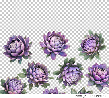 Multiple purple-pink blooming flowers with green leaves isolated on white background, botanical floral pattern concept 137399135