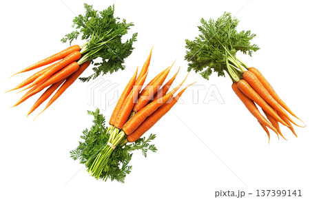Bunches of fresh orange carrots with green tops arranged in a scattered layout isolated on white background, organic healthy food 137399141