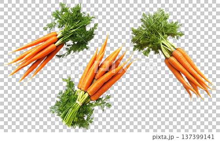 Bunches of fresh orange carrots with green tops arranged in a scattered layout isolated on white background, organic healthy food 137399141