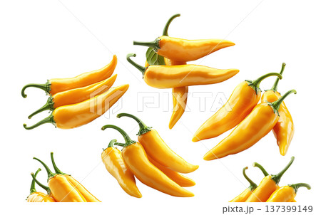 Fresh yellow chili peppers in various bunches, isolated on clean white background, concept of spicy food 137399149