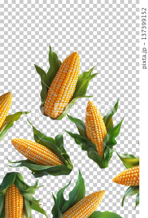 Juicy corn cobs with green husks displayed in seamless layout, isolated on white backdrop, concept of organic food and harvest Juicy corn cobs with green husks displayed in seamless layout, isolated on white backdrop, concept of organic food and harvest 137399152
