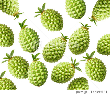 Multiple green durian fruits with sharp spikes arranged in a seamless pattern isolated on white background 137399181