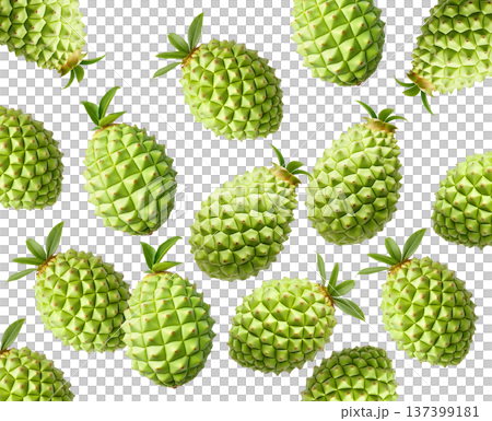 Multiple green durian fruits with sharp spikes arranged in a seamless pattern isolated on white background Multiple green durian fruits with sharp spikes arranged in a seamless pattern isolated on white background 137399181