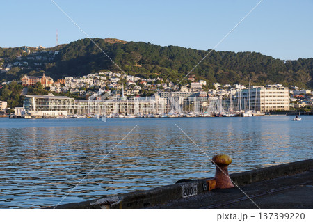 Clyde Quay Wharf from Queens Wharf - Wellington 137399220