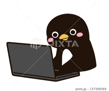 パソコンをするペンギン 137399369