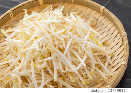新鮮なもやしのイメージ01 新鮮なもやしのイメージ01 137399534