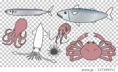 新鮮な魚介類のイラストセット(サンマ・サバ・イカ・タコ・エビ・カニ・ウニ 新鮮な魚介類のイラストセット(サンマ・サバ・イカ・タコ・エビ・カニ・ウニ 137399551
