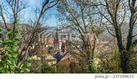 Clock Tower and Historic Gateway in Medieval Sighisoara Citadel Romania Clock Tower and Historic Gateway in Medieval Sighisoara Citadel Romania 137399614