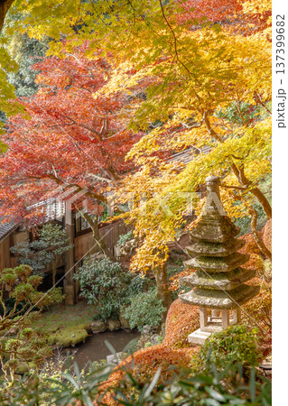 京都府長岡京市 西山 楊谷寺 (柳谷観音) 境内の紅葉(眼力稲荷から見下ろす浄土苑のもみじ) 京都府長岡京市 西山 楊谷寺 (柳谷観音) 境内の紅葉(眼力稲荷から見下ろす浄土苑のもみじ) 137399682