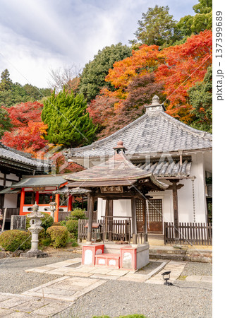京都府長岡京市　西山　楊谷寺 (柳谷観音)　境内の紅葉（弁天堂から見るもみじ） 137399689