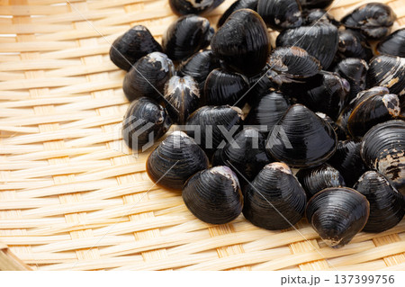 新鮮なしじみのイメージ02 137399756