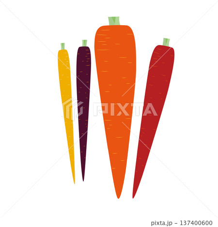 人参のベクターアイコン、葉物野菜のイラスト素材 人参のベクターアイコン、葉物野菜のイラスト素材 137400600