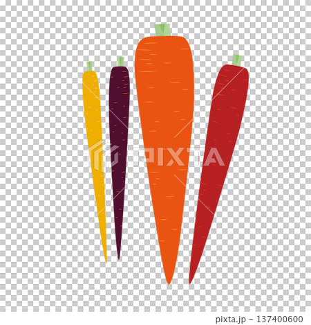 人参のベクターアイコン、葉物野菜のイラスト素材 人参のベクターアイコン、葉物野菜のイラスト素材 137400600