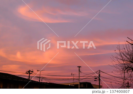 春めいてきた北国岩手県盛岡市の夕景と春を待つ木立 137400807