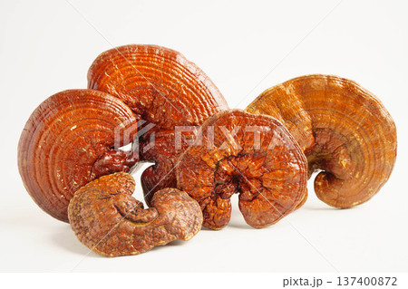 Lingzhi or Reishi mushroom with capsules, organic natural healthy food. 137400872